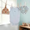 Hello Baby Boy Gift Hamper