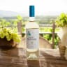 Double White Wine & Choc Hamper [2026]