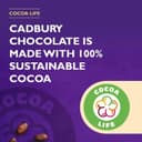 Cadbury Favourites Selection 351g