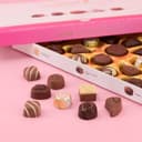 Lindt Master Chocolatier Collection 320g