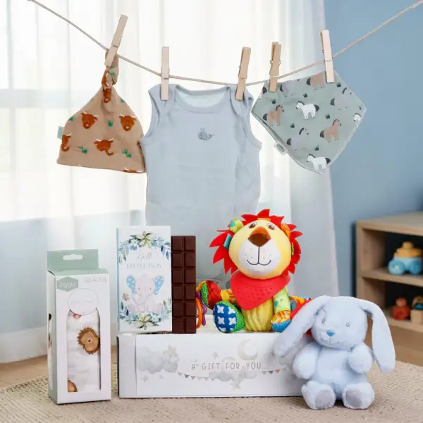 Hello Baby Boy Gift Hamper